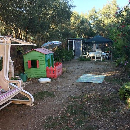 A Casa Di Nonna Luciana - Trilocale Con Giardino Daire Ceriale Dış mekan fotoğraf